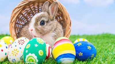 La historia del conejo de Pascua
