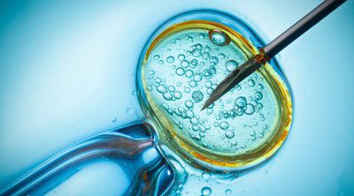 Cuál es la tasa de éxito de una Fecundación in Vitro