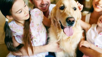 Descubre si tu familia está lista para tener mascota