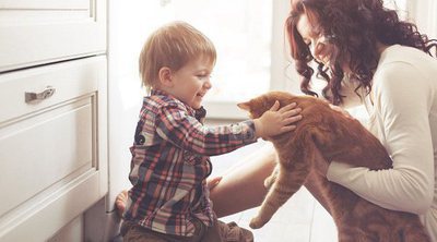 Los gatos son buenos para la salud familiar