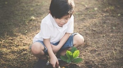 4 actividades prácticas y divertidas para realizar con niños