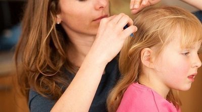 13 cosas que no sabías sobre los piojos