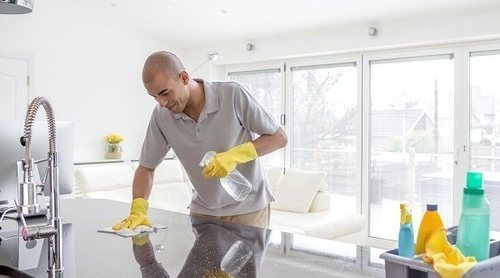 ¿Estás preparado para ser amo de casa?