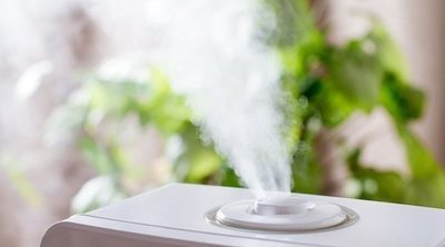 Qué tipo de humidificador es mejor para tus hijos