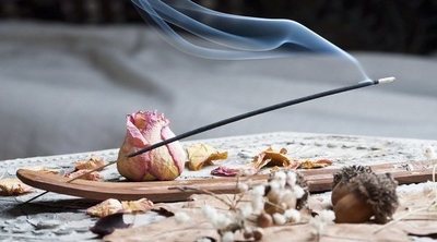 Disciplina zen para los niños (y para padres)