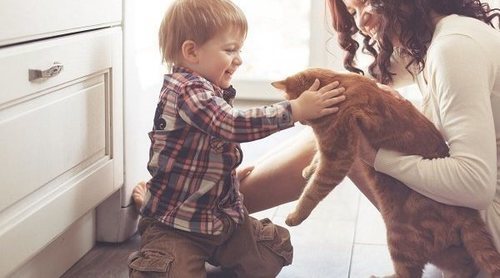 ¿Un bebé puede tener fiebre por el arañazo de un gato?