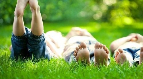 Beneficios de tener un jardín familiar