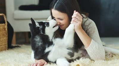 Las 5 mejores razas de perros para tu familia