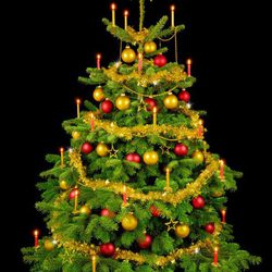 Árbol de Navidad decorado con adornos dorados y rojos