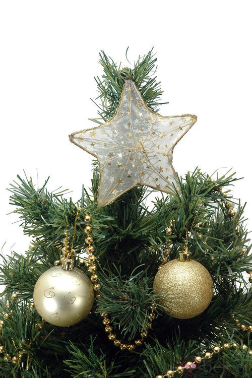 Árbol de Navidad coronado por una estrella dorada