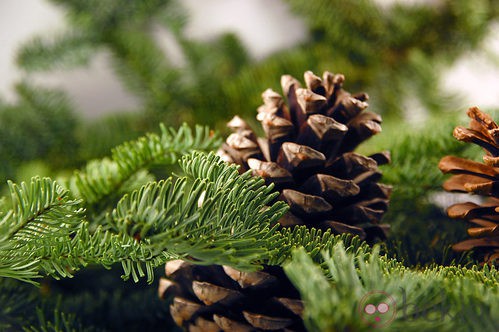 Árbol de Navidad decorado con piñas